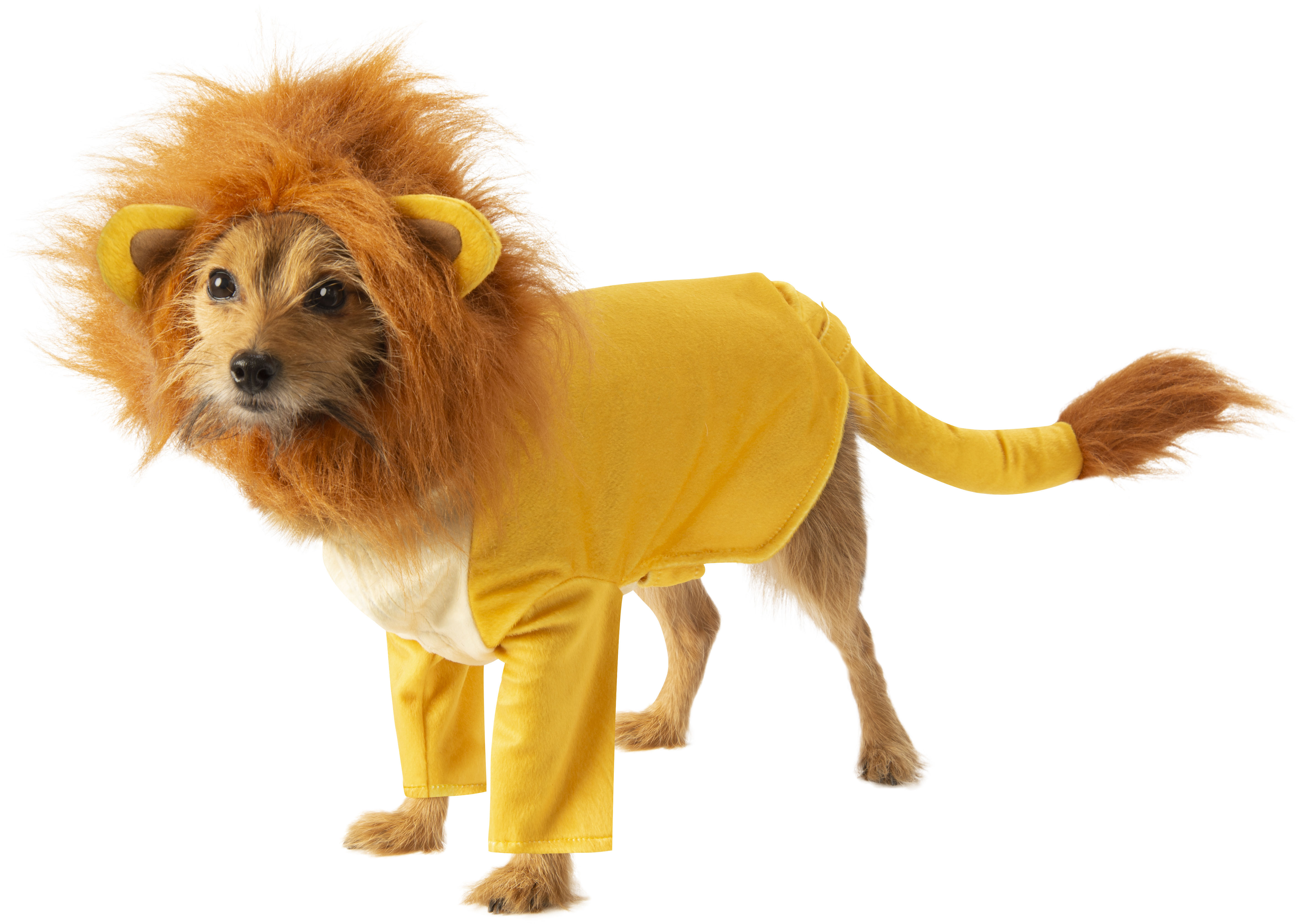 Disney The Lion King Simba Pet Dog Costume Animal Clothes Dress Up SM